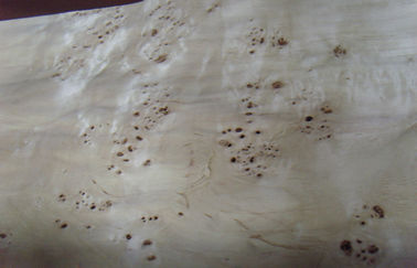 Taglio affettato impiallacciatura di legno piana di Burled, impiallacciatura di costruzione del Burl della cenere