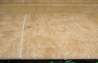 Impiallacciatura di legno del Burl giallo della cenere per mobilia, 0,5 millimetri di spessore