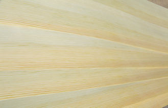 0,45 millimetri del pino strobo del quarto di impiallacciatura del taglio con grano diritto fine