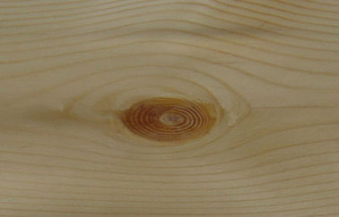 0,45 millimetri di giallo del pino nodoso del quarto di impiallacciatura del taglio con il grano della corona