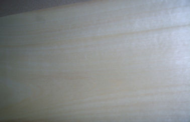 0,5 millimetri di impiallacciatura tagliata corona della betulla bianca con grano giallo-chiaro