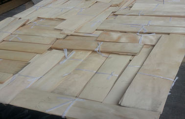 impiallacciatura di legno affettata naturale dell'acero della Cina del taglio per mobilia