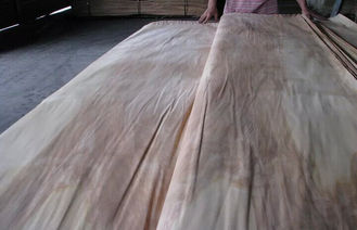 Grado rotatorio del foglio per impiallacciatura A della betulla del taglio della natura, impiallacciatura di legno naturale