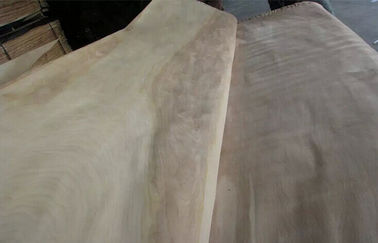 Impiallacciatura di legno del taglio di taglio rotatorio naturale della betulla un grado per mobilia