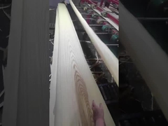 Ash Veneer bianco americano