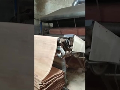 Foglio per impiallacciatura a taglio rotante in legno naturale PLB