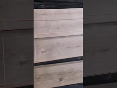 Impiallacciatura americana spinosa della quercia bianca