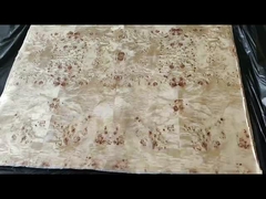 Veneer di pioppo di grado A