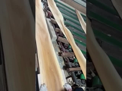 Taglio della corona in rivestimento di olmo