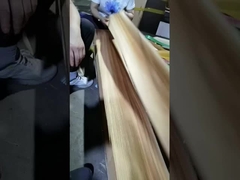 Albero di olmo in taglio a quarti