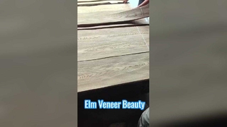 Impiallacciatura di Olmo Crown