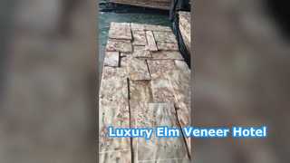 Mappa impiallacciatura