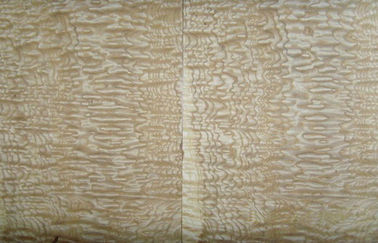 Impiallacciatura di legno affettata del Burl naturale del taglio, impiallacciatura di legno della cenere per la decorazione