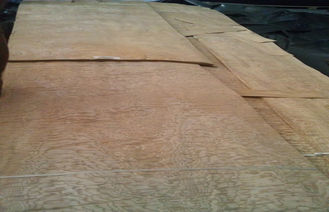 Impiallacciatura di legno affettata del Burl naturale del taglio, impiallacciatura di legno della cenere per la decorazione