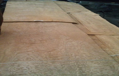 Impiallacciatura di legno del Burl giallo della cenere, 0,50 millimetri di impiallacciatura di legno naturale di spessore