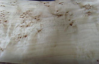 Fogli da impiallacciatura di legno del taglio affettati Burl naturale del pioppo, impiallacciatura del Burl dell'olmo