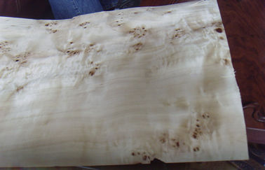 Fogli da impiallacciatura di legno del taglio affettati Burl naturale del pioppo, impiallacciatura del Burl dell'olmo