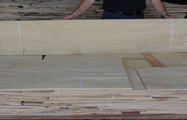 Giallo di legno dell'impiallacciatura del Burl della noce della costruzione con spessore di 0.50mm