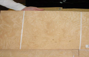 Impiallacciatura di legno del Burl giallo della cenere per mobilia, 0,5 millimetri di spessore