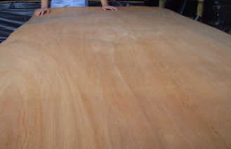 Impiallacciatura di legno di taglio rotatorio giallo naturale di Okoume per superficie di mobilia