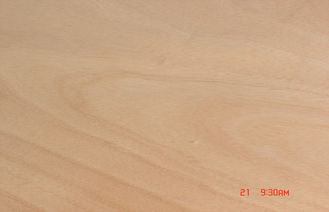 Impiallacciatura di legno di taglio rotatorio giallo naturale di Okoume per superficie di mobilia