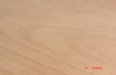 Taglio rotatorio 0,2 millimetri - 0,6 millimetri di Okoume di giallo dell'impiallacciatura per mobilia