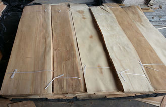 Naturale affettato ha tagliato il foglio per impiallacciatura scolorito di legno di betulla per mobilia