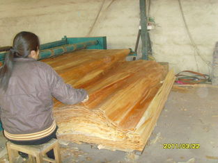 Impiallacciatura di legno di betulla della mobilia