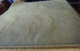 Bianco/impiallacciatura di legno del taglio rotatorio betulla di Brown, impiallacciatura imbottita dell'acero