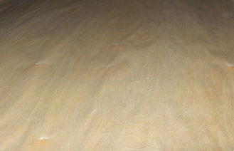 Impiallacciatura di legno di betulla del taglio del quarto