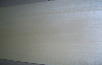 Impiallacciatura affettata di legno di betulla bianca del taglio prefinita con spessore di 0.5mm