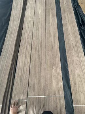 Fogli di rivestimento a tagliatura naturale di noce nera americana per compensato