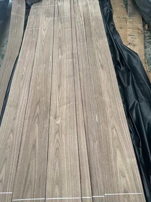 Fogli di rivestimento a tagliatura naturale di noce nera americana per compensato