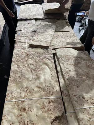 Fogli di finitura Mappa Burl di alta qualità per la decorazione dei mobili