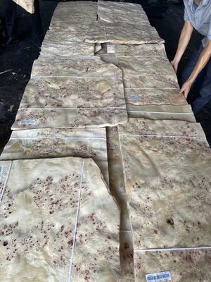 Fogli di finitura Mappa Burl di alta qualità per la decorazione dei mobili