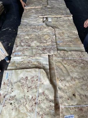 Fogli di finitura Mappa Burl di alta qualità per la decorazione dei mobili