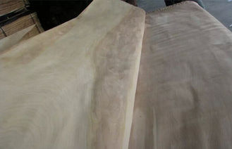 Impiallacciatura di legno del taglio di taglio rotatorio naturale della betulla un grado per mobilia