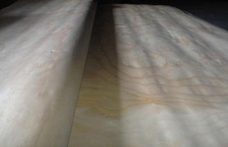 Compensato rotatorio bianco giallo dei fogli da impiallacciatura del legno duro del pino del taglio con il grado del AAA