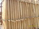 Impiallacciatura rotatoria del taglio della betulla naturale con 0,2 millimetri - 0,6 millimetri di spessore