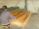 Impiallacciatura rotatoria del taglio della betulla naturale con 0,2 millimetri - 0,6 millimetri di spessore