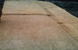 Incorniciatura di legno dell'impiallacciatura di legno dei fogli da impiallacciatura 0.5mm del Burl esotico della cenere
